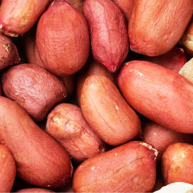 Nikotinamid-ribozid (B3-vitamin) forrás